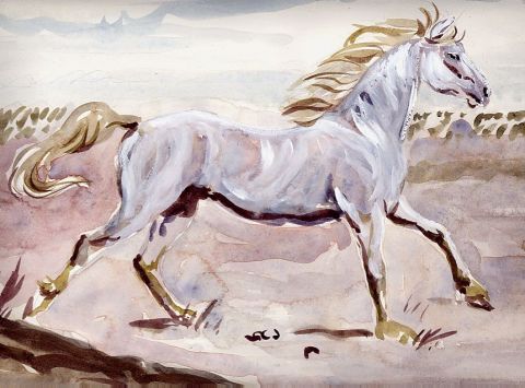 Wild White Horse